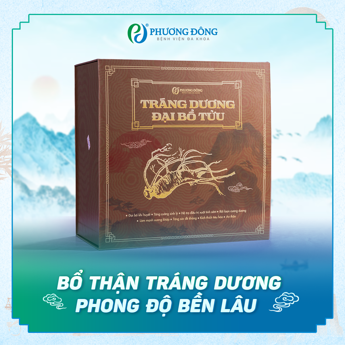 tráng dương đại bổ tửu